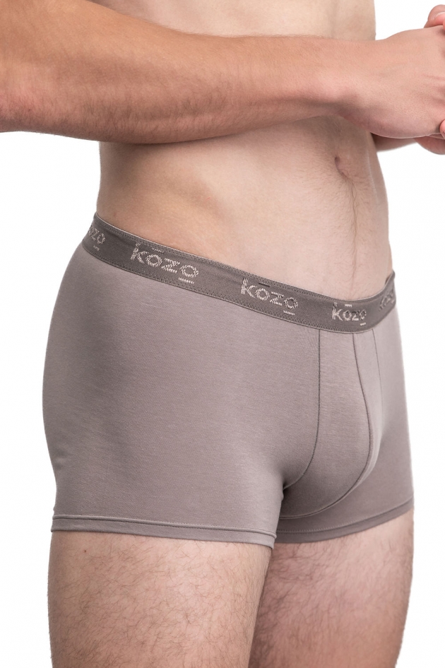MEN'S HIPSTERS GRAY