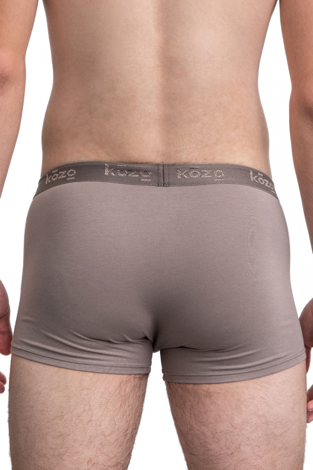 MEN'S HIPSTERS GRAY