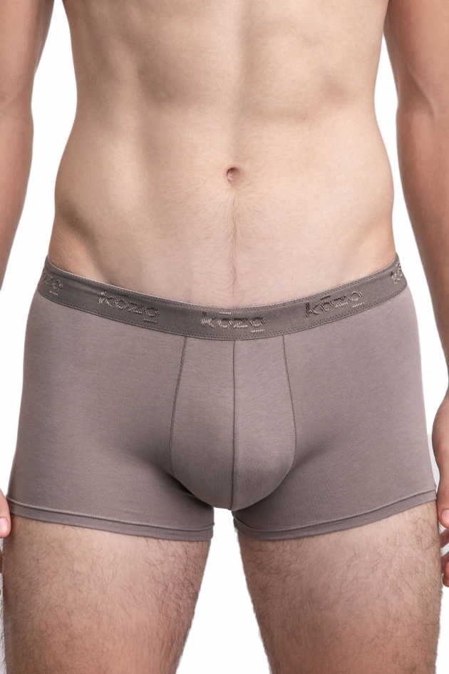 MEN'S HIPSTERS GRAY