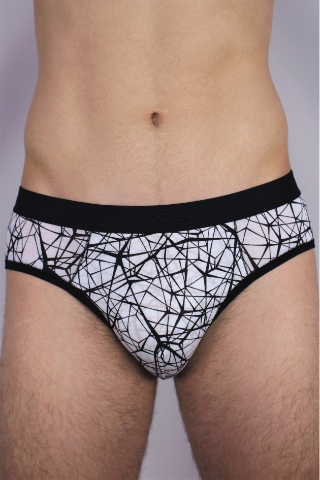PREMIUM MEN'S BRIEFS PRINT WEB